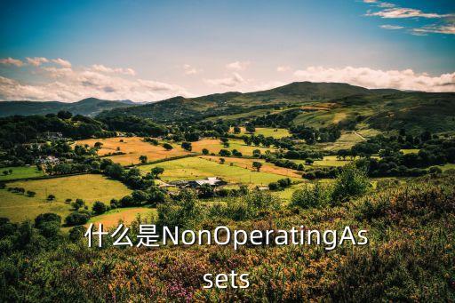 什么是NonOperatingAssets