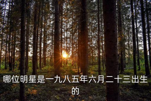 哪位明星是一九八五年六月二十三出生的