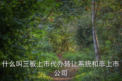 三板上市，告訴您新三板上市流程 詳細講解新三板上市流程 新三板交易規(guī)則