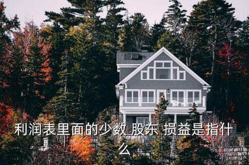 利潤表里面的少數(shù) 股東 損益是指什么