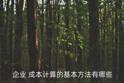企業(yè)成本核算,生產(chǎn)企業(yè)成本核算