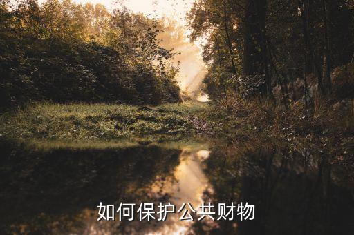 愛護公共財產(chǎn)，如何保護公共財物