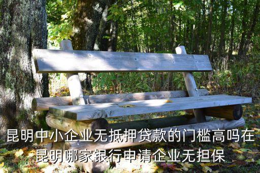 中小企業(yè)貸款，在昆明中小企業(yè)無抵押貸款申請(qǐng)的條件都有什么企業(yè)成立五年能