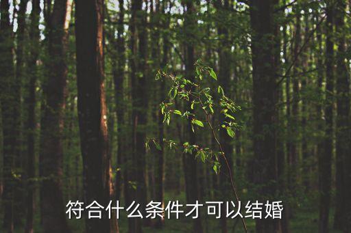 符合什么條件才可以結(jié)婚