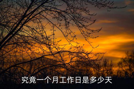 究竟一個(gè)月工作日是多少天