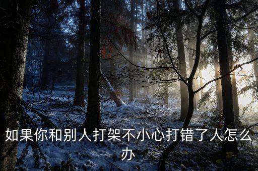 如果你和別人打架不小心打錯了人怎么辦