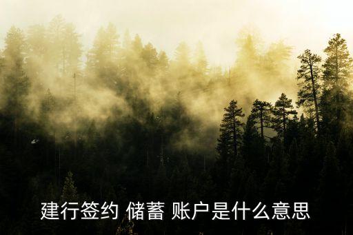 儲(chǔ)蓄賬戶