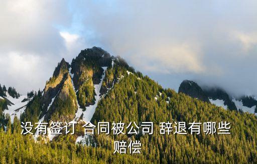 沒(méi)簽合同被辭退了怎么賠償,未滿一個(gè)月沒(méi)簽合同被辭退了怎么賠償