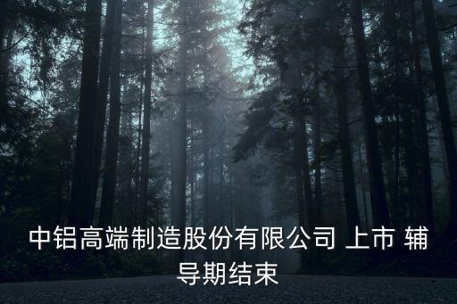 上市輔導期,借殼上市輔導期