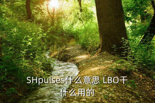 LBO