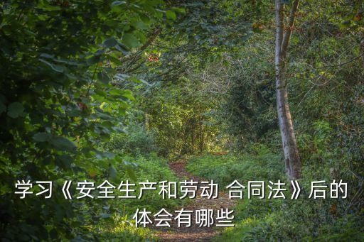 學(xué)習(xí)《安全生產(chǎn)和勞動 合同法》后的 體會有哪些