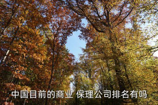 國內(nèi)保理,無追索權(quán)公開型國內(nèi)保理