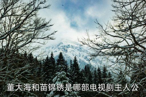 董大海，董大海和苗錦銹是哪部電視劇主人公