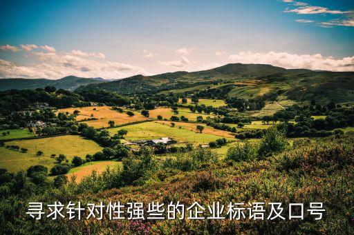 尋求針對性強些的企業(yè)標語及口號