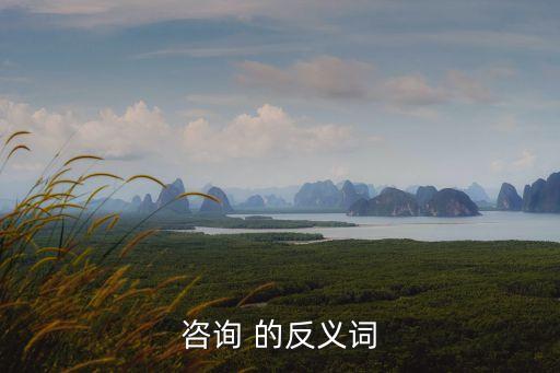 咨詢 的反義詞