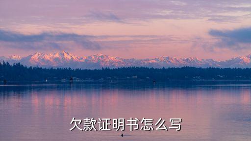 欠款證明，欠款證明書怎么寫