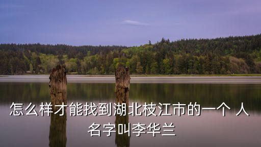 李華蘭，超時(shí)空要塞f中李華蘭經(jīng)常唱的是什么歌