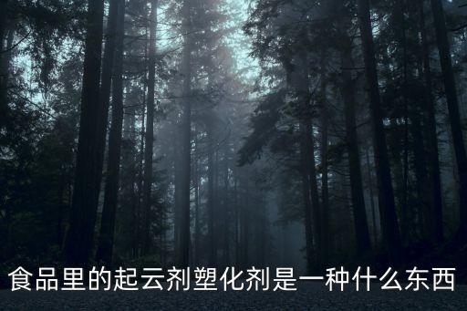 食品里的起云劑塑化劑是一種什么東西