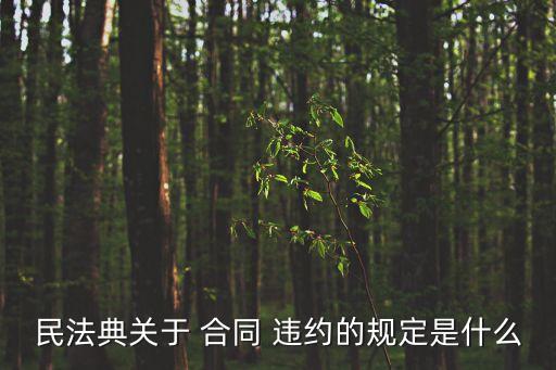 民法典關(guān)于 合同 違約的規(guī)定是什么