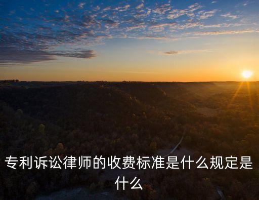 專利訴訟律師的收費(fèi)標(biāo)準(zhǔn)是什么規(guī)定是什么