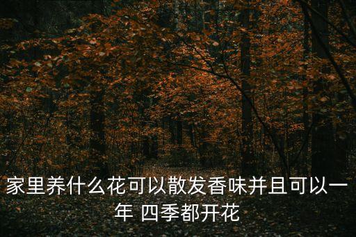 家里養(yǎng)什么花可以散發(fā)香味并且可以一年 四季都開花