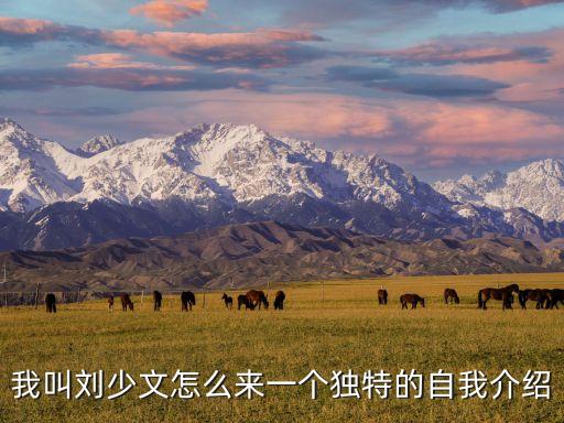 劉少文，我叫劉少文怎么來一個獨特的自我介紹