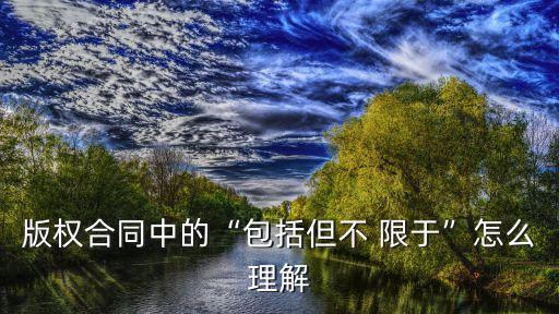 包含但不限于,包括但不限于律師費(fèi)訴訟費(fèi)保全費(fèi)