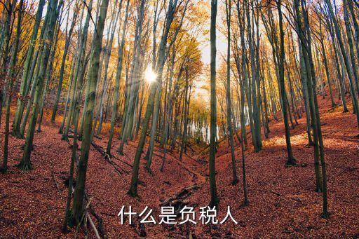 什么是負(fù)稅人