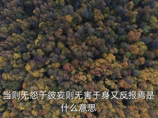當(dāng)則無怨于彼妄則無害于身又反報焉是什么意思