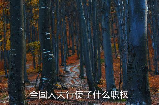 全國人大行使了什么職權