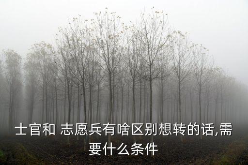 志愿兵