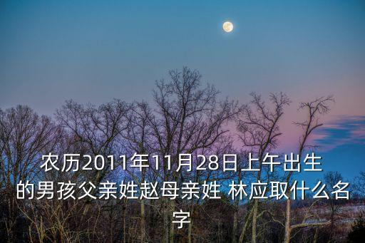 農(nóng)歷2011年11月28日上午出生的男孩父親姓趙母親姓 林應(yīng)取什么名字