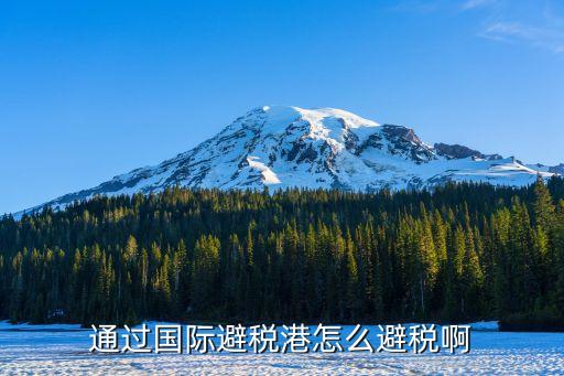 避稅港，paradise是什么意思