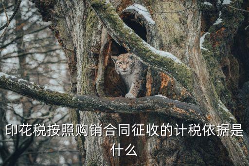 印花稅的計(jì)稅依據(jù)，印花稅的計(jì)稅依據(jù)是什么