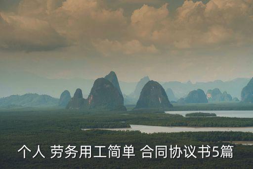 個人 勞務(wù)用工簡單 合同協(xié)議書5篇