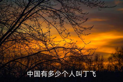 丁飛，中國有多少個(gè)人叫丁飛