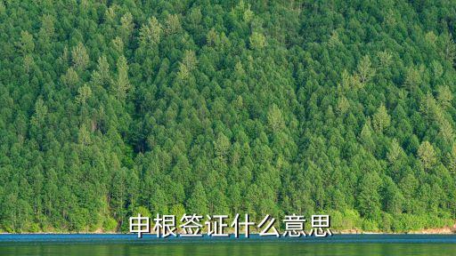 申根是什么意思,簽證申根是什么意思