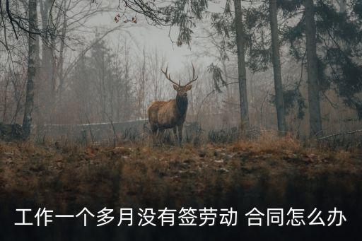 轉(zhuǎn)正一個(gè)月沒有簽合同,一個(gè)月內(nèi)沒簽合同算不算違法