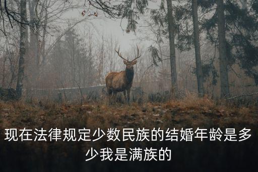少數(shù)民族結(jié)婚年齡，現(xiàn)在法律規(guī)定少數(shù)民族的結(jié)婚年齡是多少我是滿族的