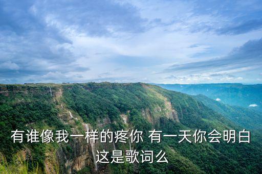 有誰像我一樣的疼你 有一天你會明白 這是歌詞么