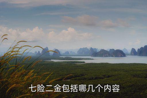 七險兩金,中石油七險兩金