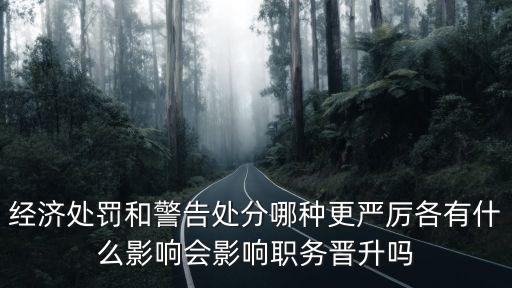 經(jīng)濟處罰和警告處分哪種更嚴(yán)厲各有什么影響會影響職務(wù)晉升嗎