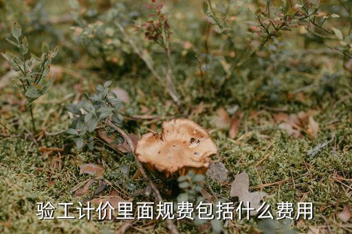 規(guī)費包括哪些內(nèi)容，驗工計價里面規(guī)費包括什么費用