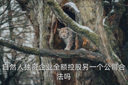 個(gè)獨(dú)