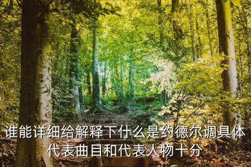 誰(shuí)能詳細(xì)給解釋下什么是約德?tīng)栒{(diào)具體代表曲目和代表人物十分