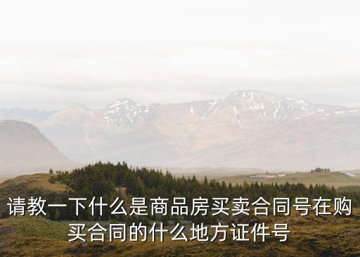 請教一下什么是商品房買賣合同號在購買合同的什么地方證件號
