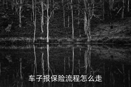 怎么報(bào)保險(xiǎn),車(chē)出車(chē)事故怎么報(bào)保險(xiǎn)