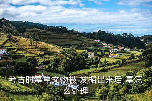 搶救性發(fā)掘,某考古隊(duì)對一處遺址進(jìn)行搶救性發(fā)掘