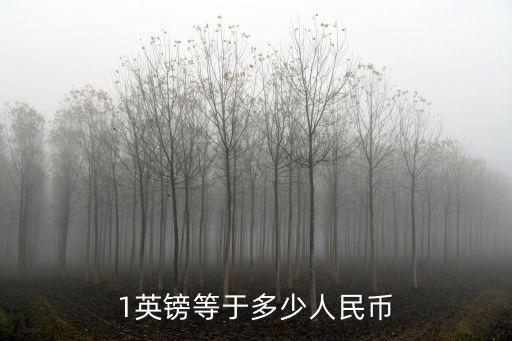 600英鎊，600英鎊重量600英鎊多少人民幣英鎊匯率