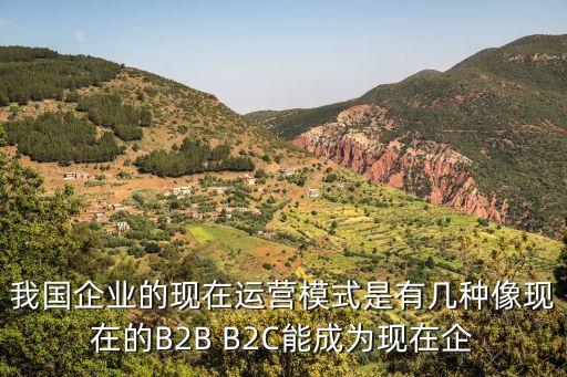 運營模式有哪幾種，我國企業(yè)的現(xiàn)在運營模式是有幾種像現(xiàn)在的B2B B2C能成為現(xiàn)在企